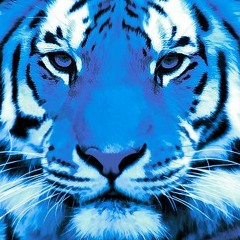 Tigre Azul