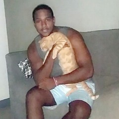 Dboiiy