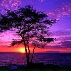 Victoria Ruiz (Vicky)