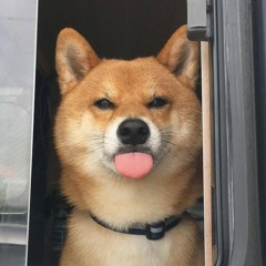 Phun_Lơ