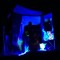 OdFrequency (Persian Psytech Rec)