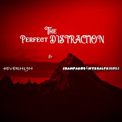 The Perfect DISTRACTION