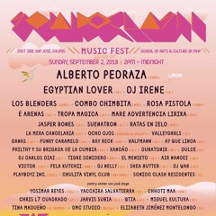 Sonido Clash Music Fest