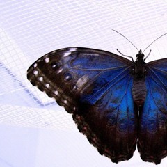 Vasyuta Byrd