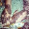 farheen
