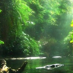 GreenNature