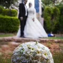 Mohamed Ahmed 594