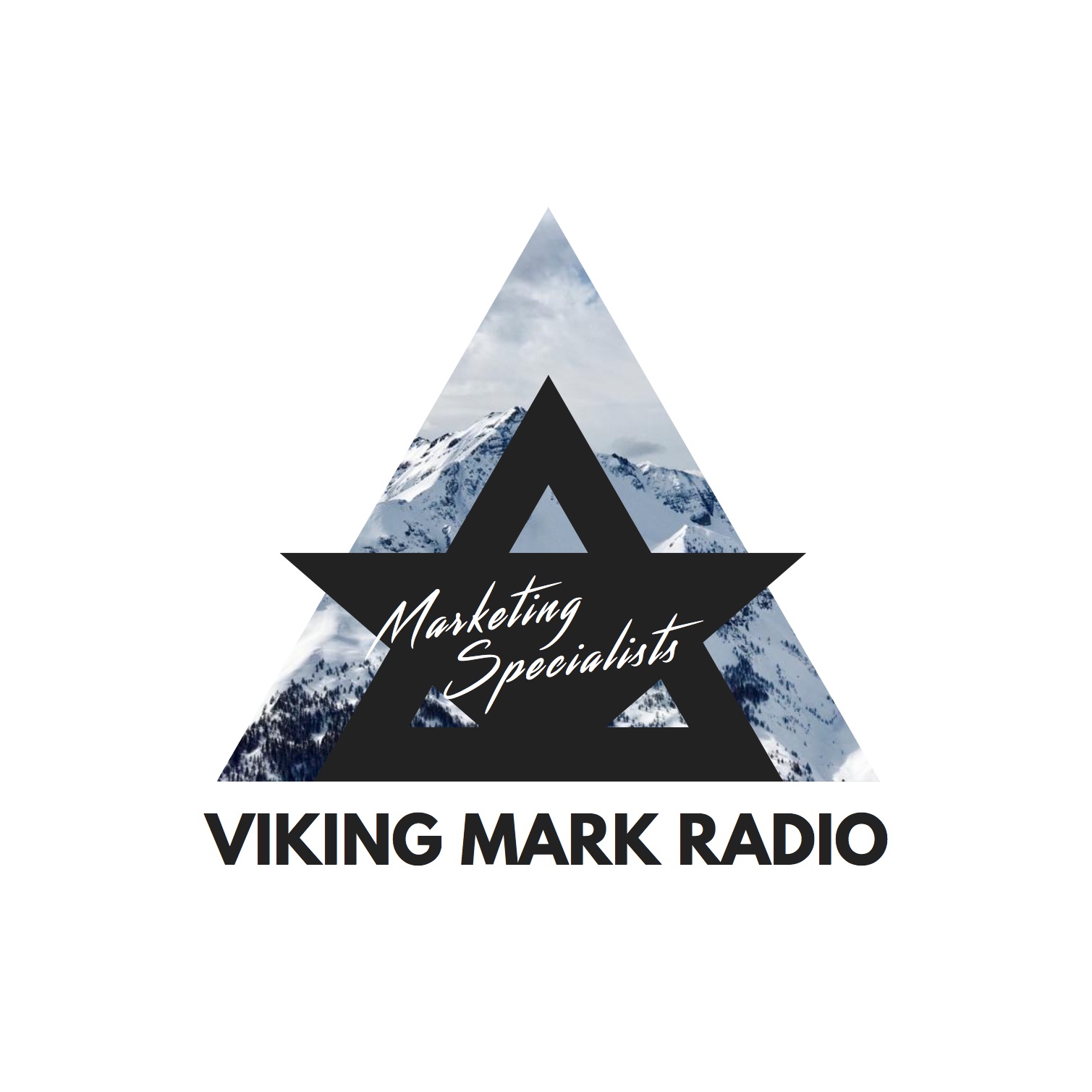 Viking Mark Radio