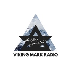 Viking Mark Radio