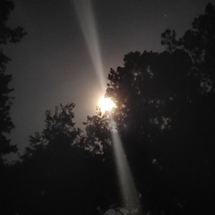 Owl at the Moon Records