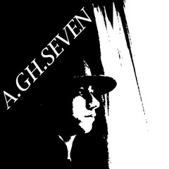 Amirhossein Ghamami
