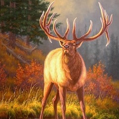 Explore The Outdoors