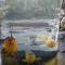 Andreas Lammel