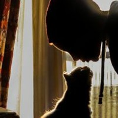 كتكوت الأمير - يا غزال الدرب الاحمر_01
