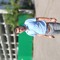 hamzin