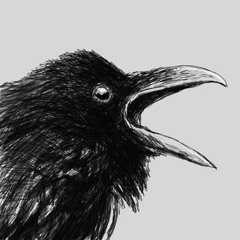 Crowscratch Radio Theatre