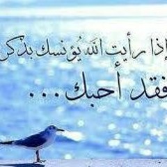 أية الكرسي تلاوه تريح النفس - الشيخ خالد الجليل - شبكة تلاوات