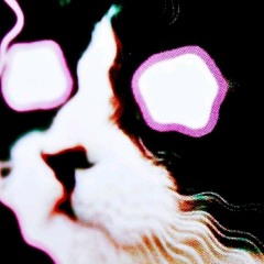 gato galático