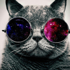 Xx_-OZAMA-_x X
