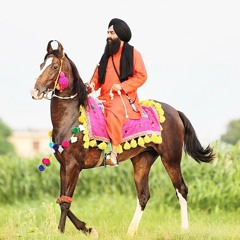 aman deep singh udasin