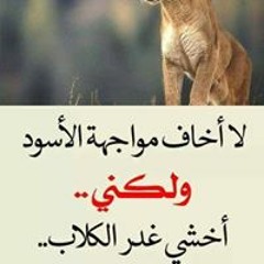 عنتر زماني