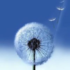 Nguyễn Hữu Nghĩa