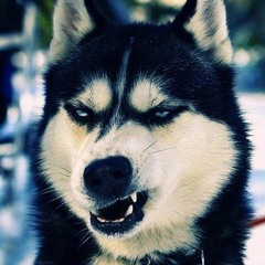 Макс Кудрявый