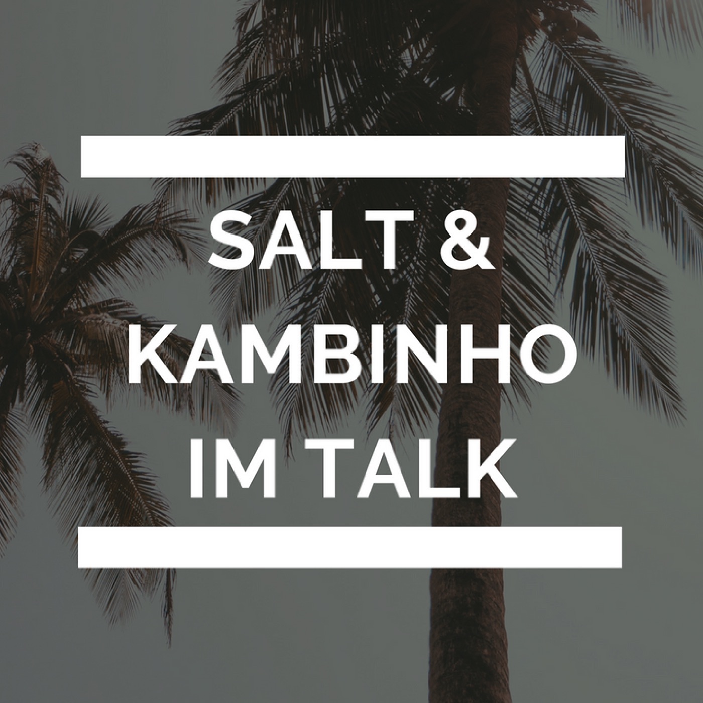 Salt X Kambinho im Talk