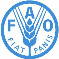 FAO South Sudan Radio
