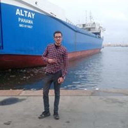 Mohamed Omar Elaraby’s avatar