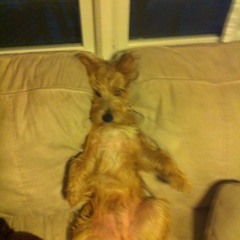 Everybody Hates Scott