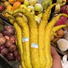 Pandemic Piece Final Draft 10 18 20