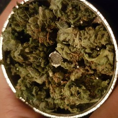 jimmydjmtl