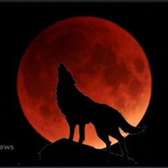 Wolf Moon Revival