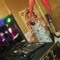 dj Kifran a.k.a Pamela