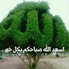 Ahmed Elbrence