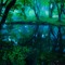 midori