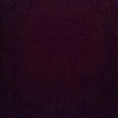 User 202480118