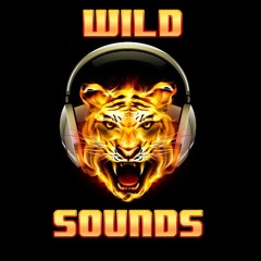 WildSoundsMusic