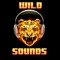 WildSoundsMusic