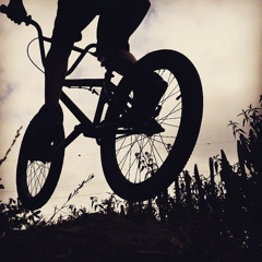 Lewis_192