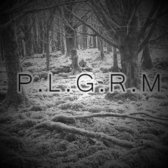 P.L.G.R.M