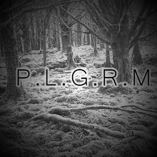 Stream Camila Cabello All These Years P L G R M Remix By P L G R M Listen Online For Free On Soundcloud