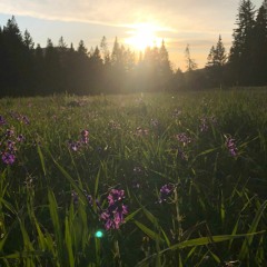 Joshua Michael Gonzales