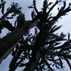 Ana Llaveria Caselles