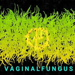 Vaginal Fungus