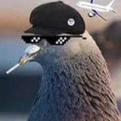 Федор Сумкин