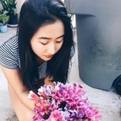 Yumi Pellet