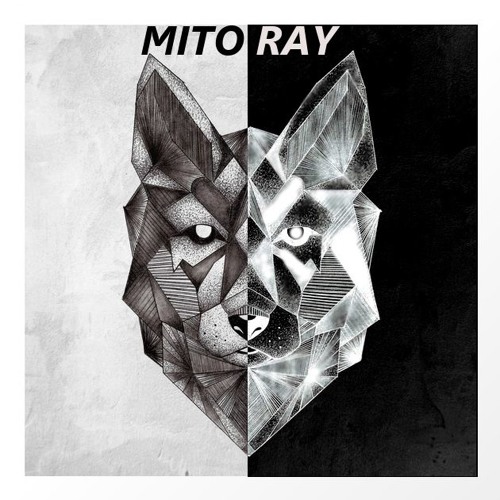 MITO RAY’s avatar