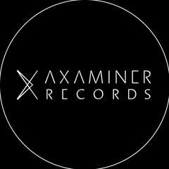 Axaminer Records